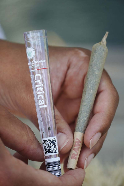 Pre rolls CBD L'Herbe en Provence