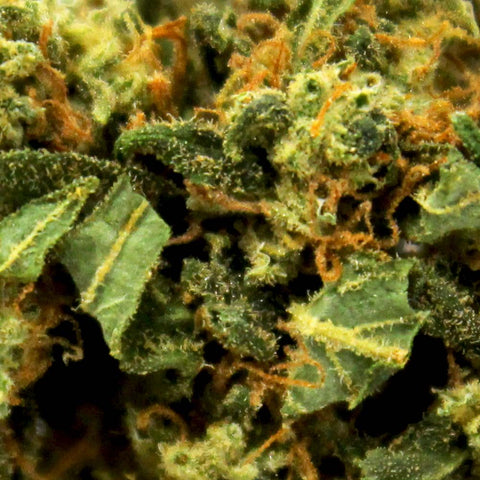 Fleur de CBD Pineapple MACRO
