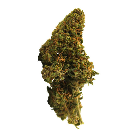 Fleur de CBD Pink Panther