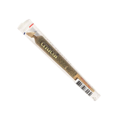Pre rolls CBD Critical