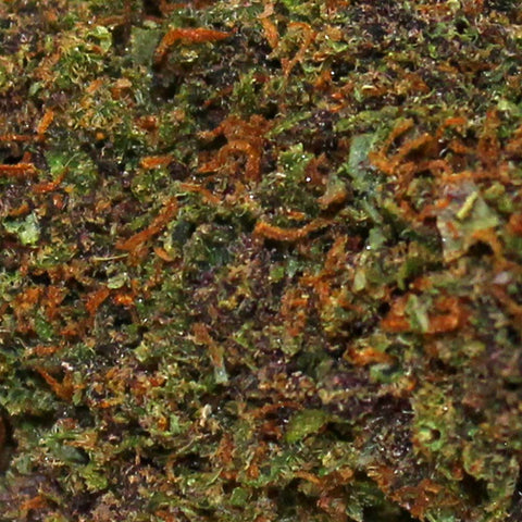 Fleur de CBD Sapphire Kush MACRO
