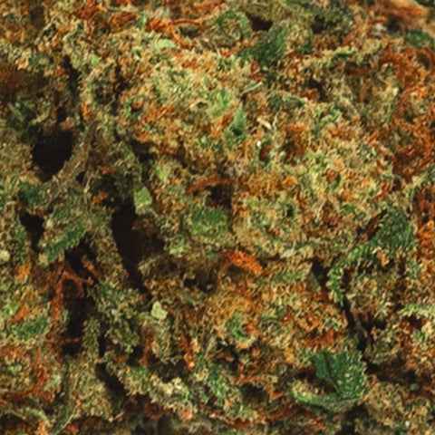 Fleur de CBD TR4 MACRO