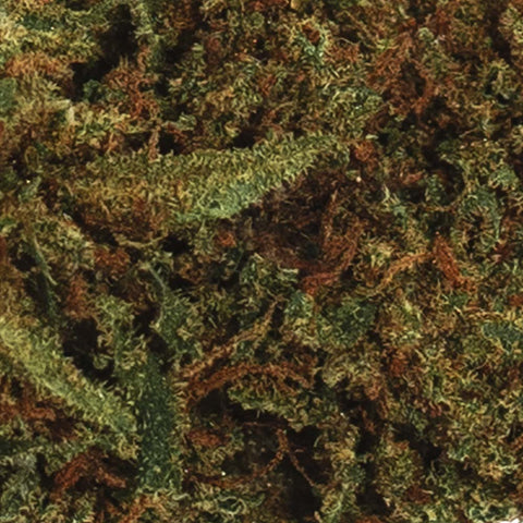Fleur de CBD Tropical Punch MACRO