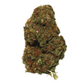 Fleur de CBD Tropical Punch
